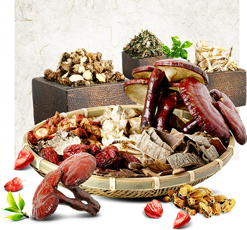 陕西富平万禾实业有限公司有着悠久的历史传承