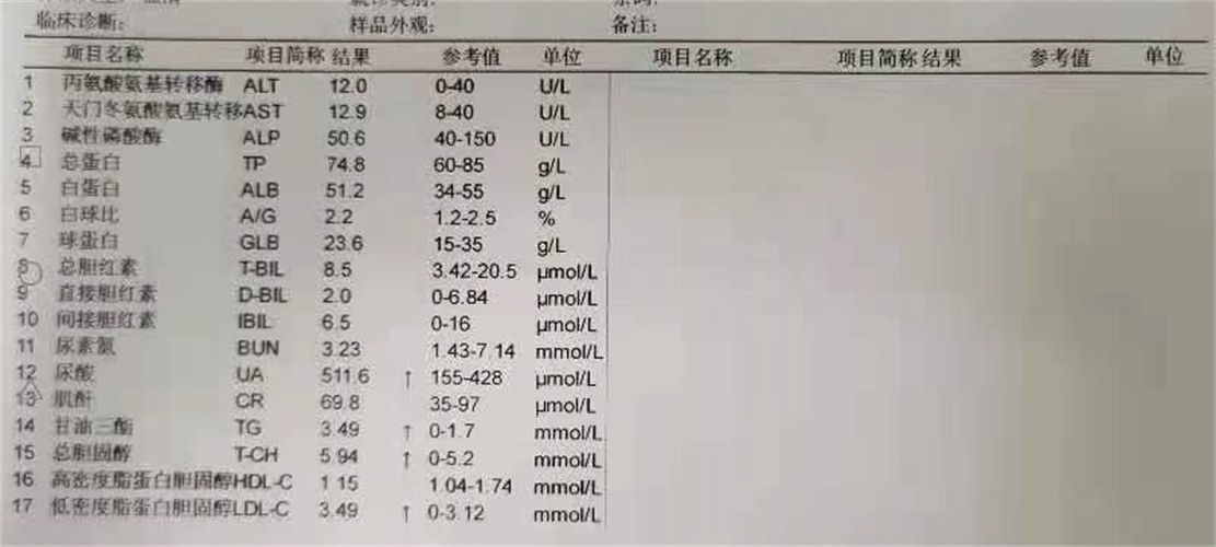 image15.jpeg image15.jpeg